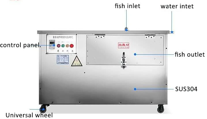 fish descaler 